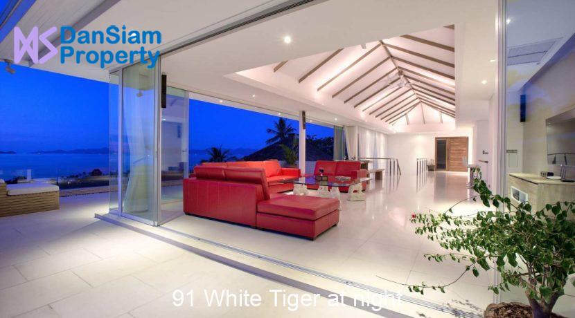 91 White Tiger at night