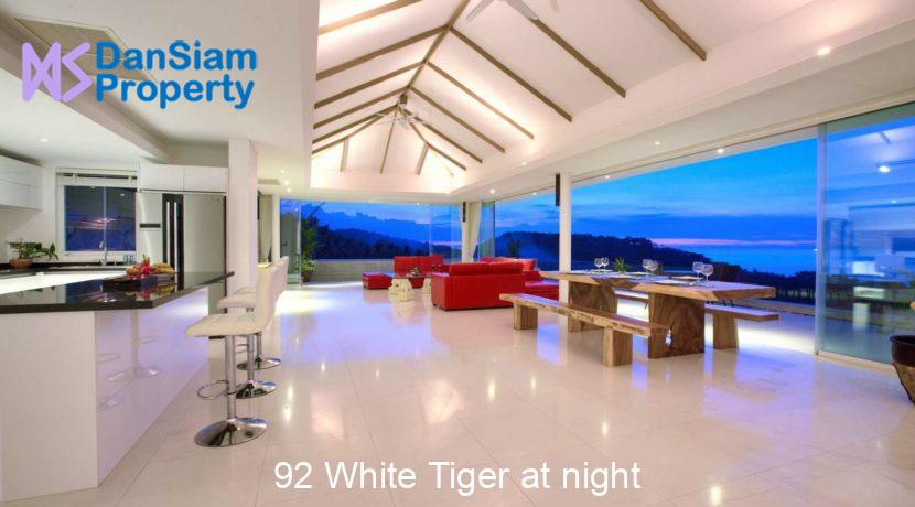 92 White Tiger at night