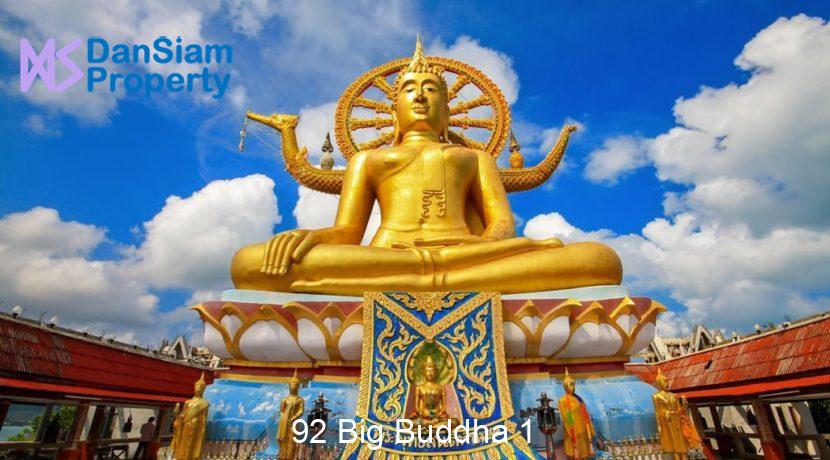 92 Big Buddha 1