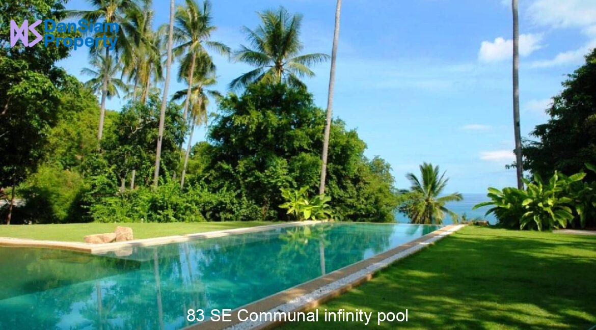 83 SE Communal infinity pool