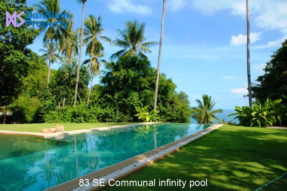 83 SE Communal infinity pool