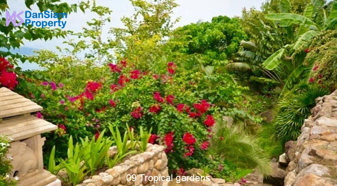09 Tropical gardens