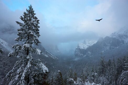 Winter Storm, Tunnel View, Yosemite National Park, California